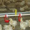 China Hen Chicken Farm Poultry Feeder Drinker Animal Hdg Sheet wholesale