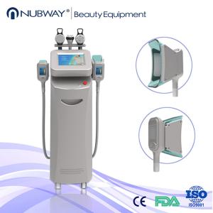 China Máquina gorda emagrecedora do emagrecimento do gelo de Criolipolise Cryolipolysis supplier