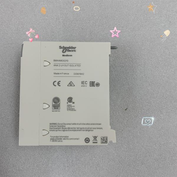 SCHNEIDER BMXAMO0210 MODICON ISOLATED ANALOG OUTPUT MODULE NEW