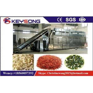China Vegetable Fruit Grape Fish Drying Machine Dehydrator supplier