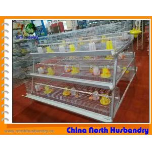 China Poultry Cages Manufacturers & OEM Poultry Cages Suppliers