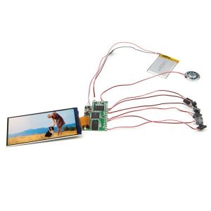 China IPS TFT LCD Panel LCD Video Module for FLV Image Format in Market wholesale