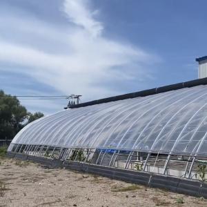 Arched Roof Sunlight Greenhouse for Vegetable Production Seeding US 20/Square Meter