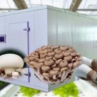 China Shipping Container Greenhouse for Mushroom Cultivation in Smart Design JX-CG-0001 on sale