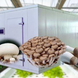 Shipping Container Greenhouse for Mushroom Cultivation in Smart Design JX-CG-0001