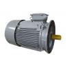 50kw Three Phase Induction Motor 3 Phase Asynchronous Motor Rpm 3000 For Planer