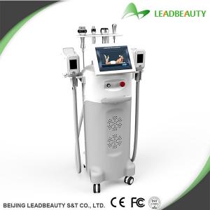 New cryotherapy slimming equipment- cryolipolysis machine professional  vertical