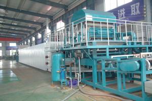 China Fully automatic Paper Pulp Fruit Tray Production Line Paper Pulp Molding Machine on sale 