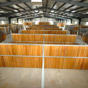 Caballerizas High Density Horse Stall Fronts , Natural Bamboo Portable Horse Stalls