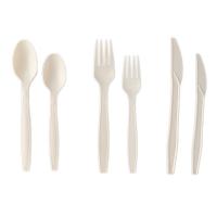 China Biodegradable Spoon Knife And Fork Eco Friendly PLA Disposable Plastic Cutlery Set on sale