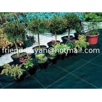 China Black Polypropylene Weed Barrier Cover 90gsm Garden Membrane Ground Cover on sale