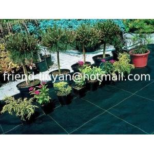 China Black Polypropylene Weed Barrier Cover 90gsm Garden Membrane Ground Cover supplier