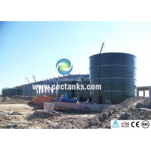 Biogas Plant Equipment Biogas Storage Tank Over 30 Years From China