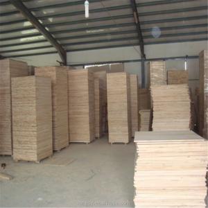 Solid Wood Boards Paulownia Timber in 1220*2240mm Size with and Density 300-310kg/m3
