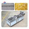 China customized blanching machine Fruit Orange Vegetable Leaves Vegetables Carrots and longitudinal root vegetables Onions Leafy vegetables Cabbage varieties Herbs Fruiting vegetables Wash Washer Cleaning wholesale