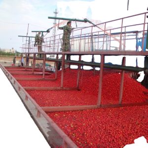 Complete Tomato Processing Plant Small Scale Ketchup Processing Line Tomato Sauce Machine for Tomato Paste