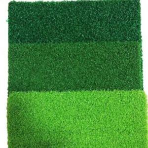 H20mm Home Gym Floor Mats , PE PP Landscape Artificial Grass