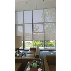 China Automatic Battery Operated Motorized Blackout Zebra Roller Blinds Curtains For Windows Zigbee APP wholesale