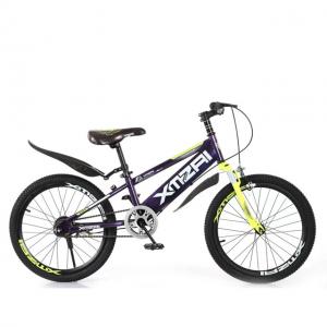 20 Inch Mountain Bike Equipped with Shock-Absorbing Front Fork and 25T High Knife Rim