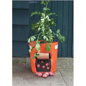 China Multi Color Plant Grow Bags Gardening Non - Woven Material Customized Volume wholesale