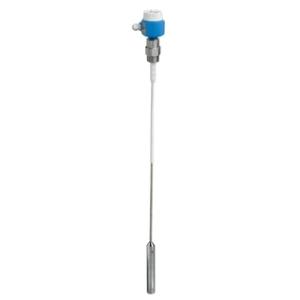 China ROHS Endress Hauser Capacitance Point Level Detection Solicap FTI56 細粒から粗粒の大量固体の点レベル検出 supplier