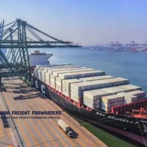 China 40GP 40HQ Sea Freight Forwarder Shipping Sea Cargo Services From China To USA supplier