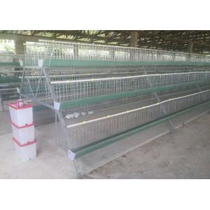 China Popular Chicken Egg Layer Cage , Battery Cage System For Battery Chicken supplier