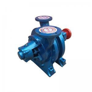 0.75kw - 185kw Watering Vacuum Pump Used In Pharmaceutical Industry SK Series