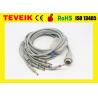 China Teveik Factory Price of 10 Leads Kenz 103,106 ECG EKG Cable, Banana 4.0 IEC 4.7K Resistor wholesale