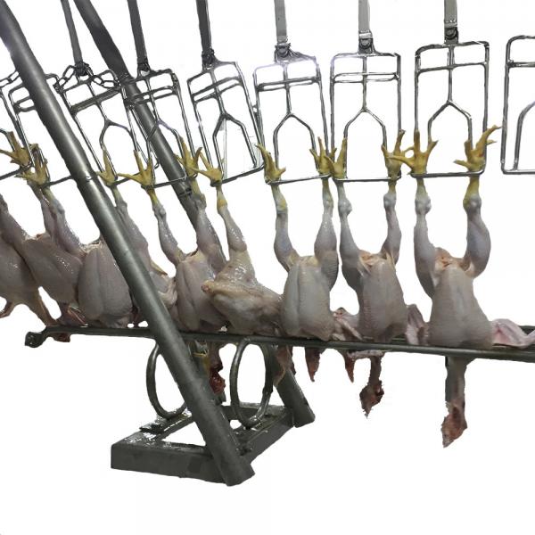 Small and Large Chicken Turkey Killing Processing Killing Slaughter Processing