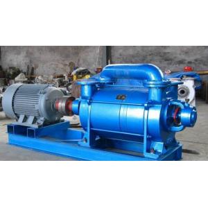 China 2SK Water Ring Vacuum Pump supplier
