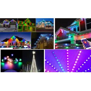 China 2904 RGBW Led Point Light IP67 Outdoor Waterproof 1903 RGB LED Light String supplier
