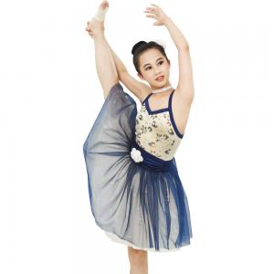 China Ballet Dance Tutu Dress Competition Performance Wear Sweetheart Bodice Ballet Costume fairy princess supplier