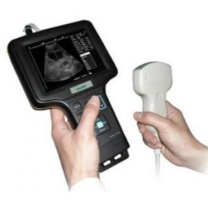 SGV6 Handle Veterinary VET laptop portable Ultrasound Scanner With 3.5 convex probe