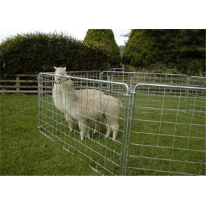 China Galvanized Sheep Fencing Panel Corral Fence Panel with Half Mesh supplier