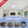 China SAA Certified 3 MDF Blades LED Light Ceiling Fan with Customized Design and Remote Control wholesale