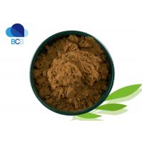 China Hawthorn Extract Powder Dietary Supplements Ingredients Maslinic Acid 30% on sale
