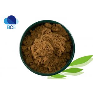 Hawthorn Extract Powder Dietary Supplements Ingredients Maslinic Acid 30%