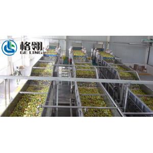 1-100ton Automatic Fruit Juice Processing Line Apple Juice 20000lph Beverage Processing Line