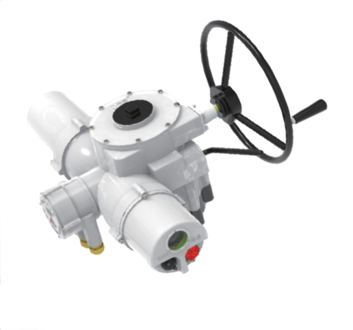 RAGA RA/RQ/RQM Intelligent electric actuator RL/RLM10 RL/RLM20 RL/RLM30 RL/RLM40 RL/RLM50 RL/RLM60 RL/RLM80 RL/RLM100 RL/RLM150 RL/RLM200 RL/RLM250 RLML10 RLML20 RQIII003-14 RQM03-06