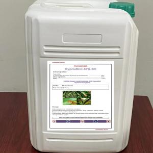 Chloroform Solubility Cyprodinil 98% Tech Systemic Fungicide for Crop Disease Control