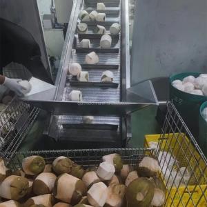 China Coconut Oil Expeller Extracting Processing Machine Coconut Cutting Water Extractor Machine wholesale