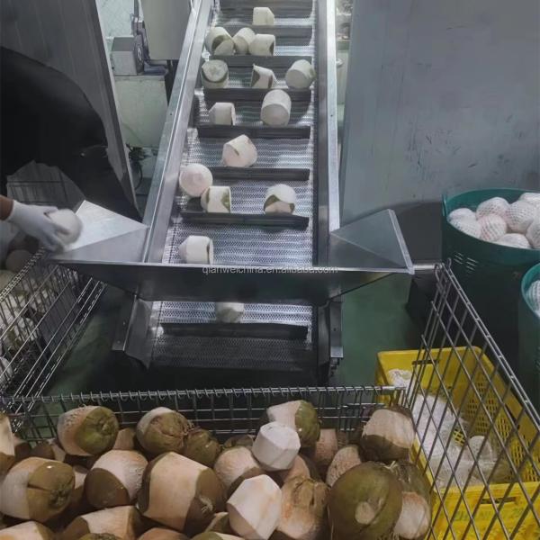 Coconut Oil Expeller Extracting Processing Machine Coconut Cutting Water Extractor Machine