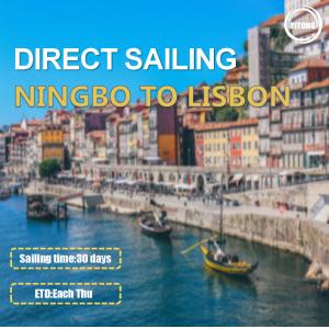 Ningbo To Lisbon Portugal Marine Cargo Transport Service MSK MSC Carrier