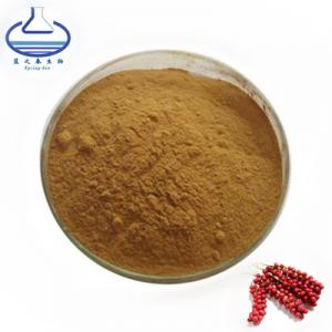 Herbal Schisandra Extract Powder Schisandrae Chinensis Extract