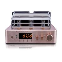 China Integrated Stereo Hybrid Vacuum Tube Audio Amplifier With Subwoofer Output MIC Output on sale
