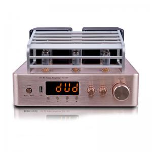 Integrated Stereo Hybrid Vacuum Tube Audio Amplifier With Subwoofer Output MIC Output