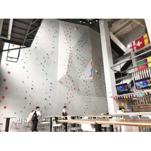 Shopping Mall Recreation Sport Climbing Walls Climbing Holds ISO14001