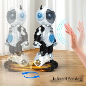 China Gesture Control Ad-Free Experience AI Robot STEM Voice Control Portable wholesale
