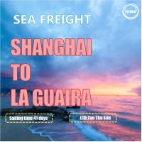 Carga de mar internacional del trazador de líneas de YML OOCL de Shangai al La Guaira Venezuala
